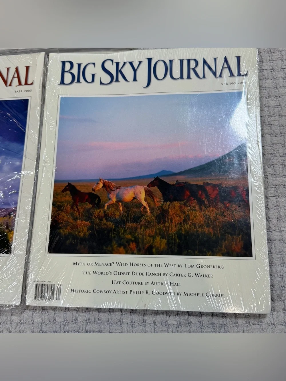 Vintage big sky